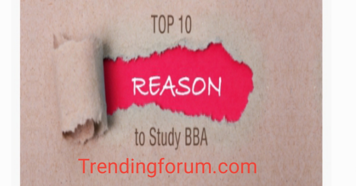 the-top-10-reasons-to-do-a-bba-degree-trending-forum